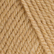 5 x 100g Stylecraft Special DK