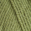 5 x 100g Stylecraft Special DK