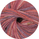 King Cole Homespun Prism DK 50g