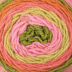 Caron Cakes Aran 200g