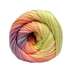 Cygnet Baby Colour Soft DK 100g