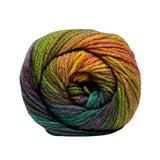 Cygnet Colour Rush DK 100g