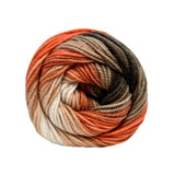 Cygnet Colour Rush DK 100g