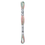DMC Coloris 6 Strand Cotton Thread