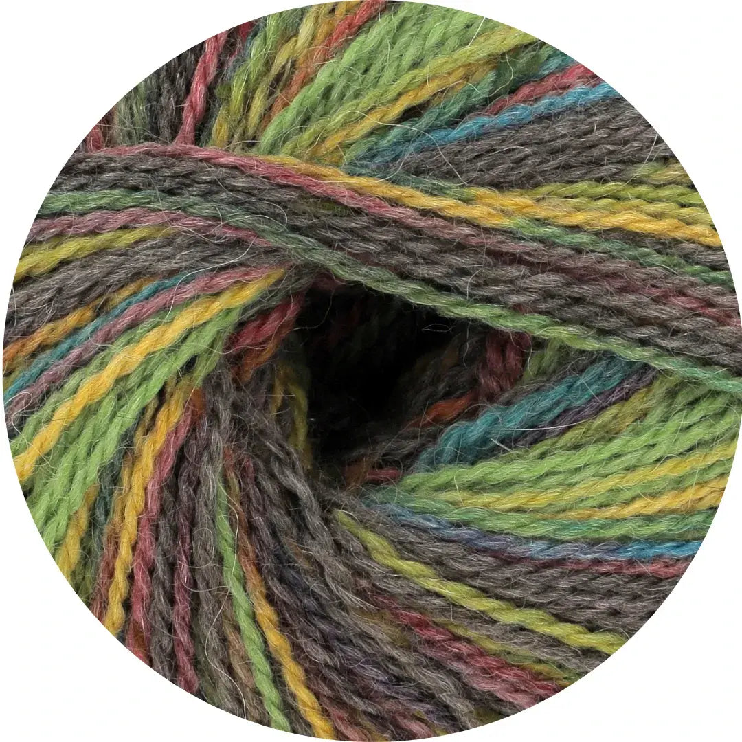 King Cole Homespun Prism DK 50g