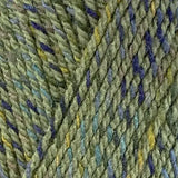 Stylecraft Colour Twist DK 100g