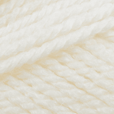 Stylecraft Special Aran 100g