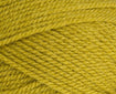 Stylecraft Special Aran 100g