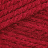 Stylecraft Special Aran 100g