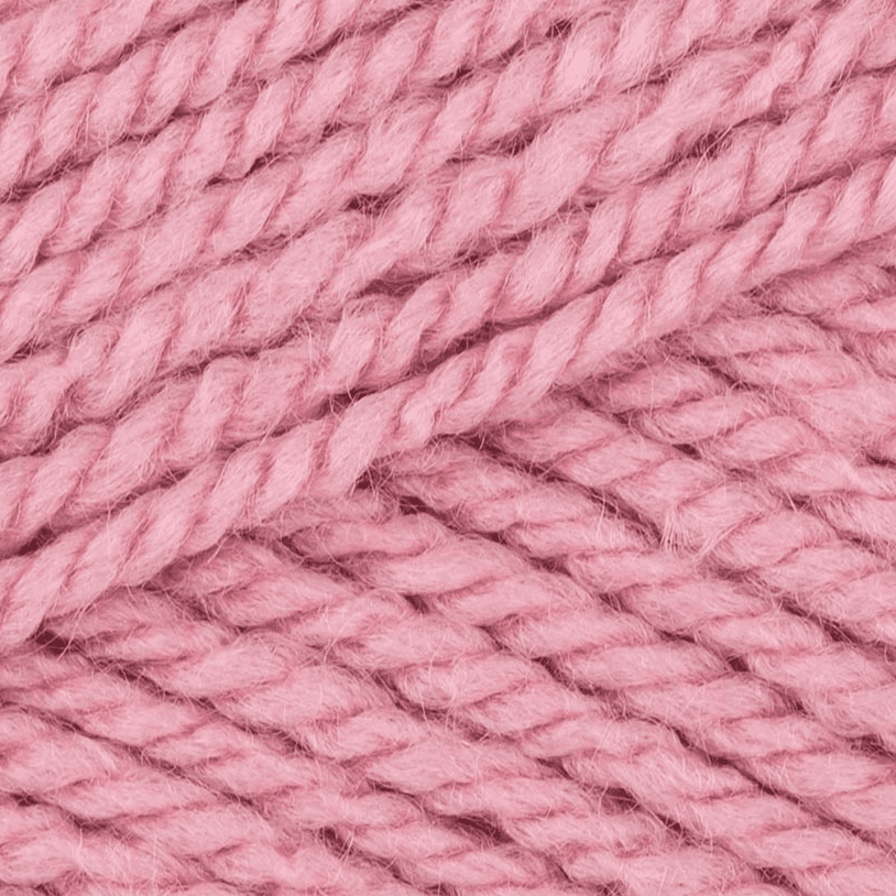 Stylecraft Special Aran 100g