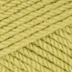 Stylecraft Special Aran 100g