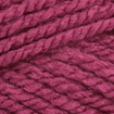 Stylecraft Special Aran 100g