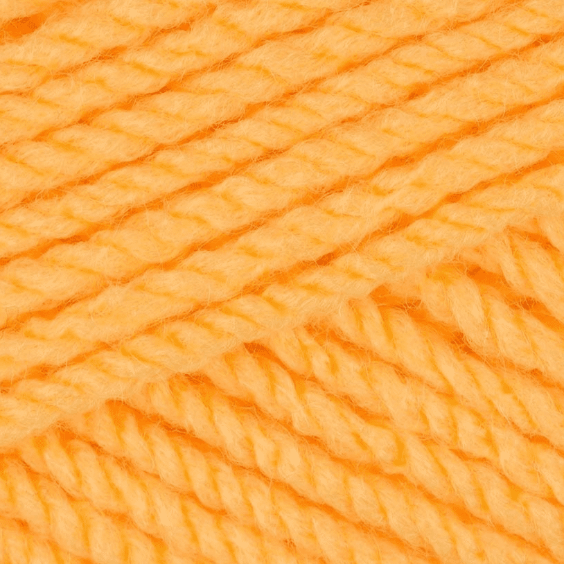 Stylecraft Special Aran 100g