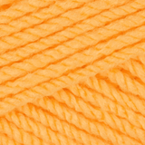 Stylecraft Special Aran 100g