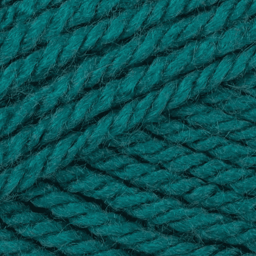 Stylecraft Special Aran 100g