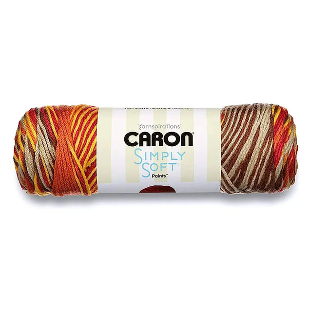 Caron Simply Soft Paints 141g