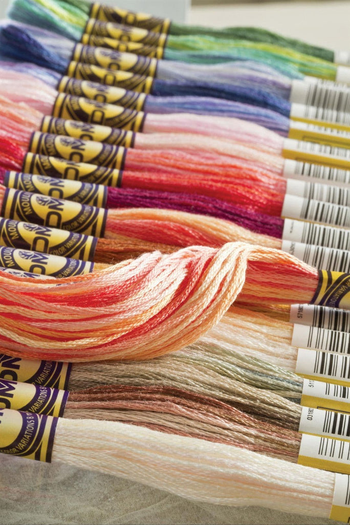 DMC Colour Variation 6 Strand Cotton Thread